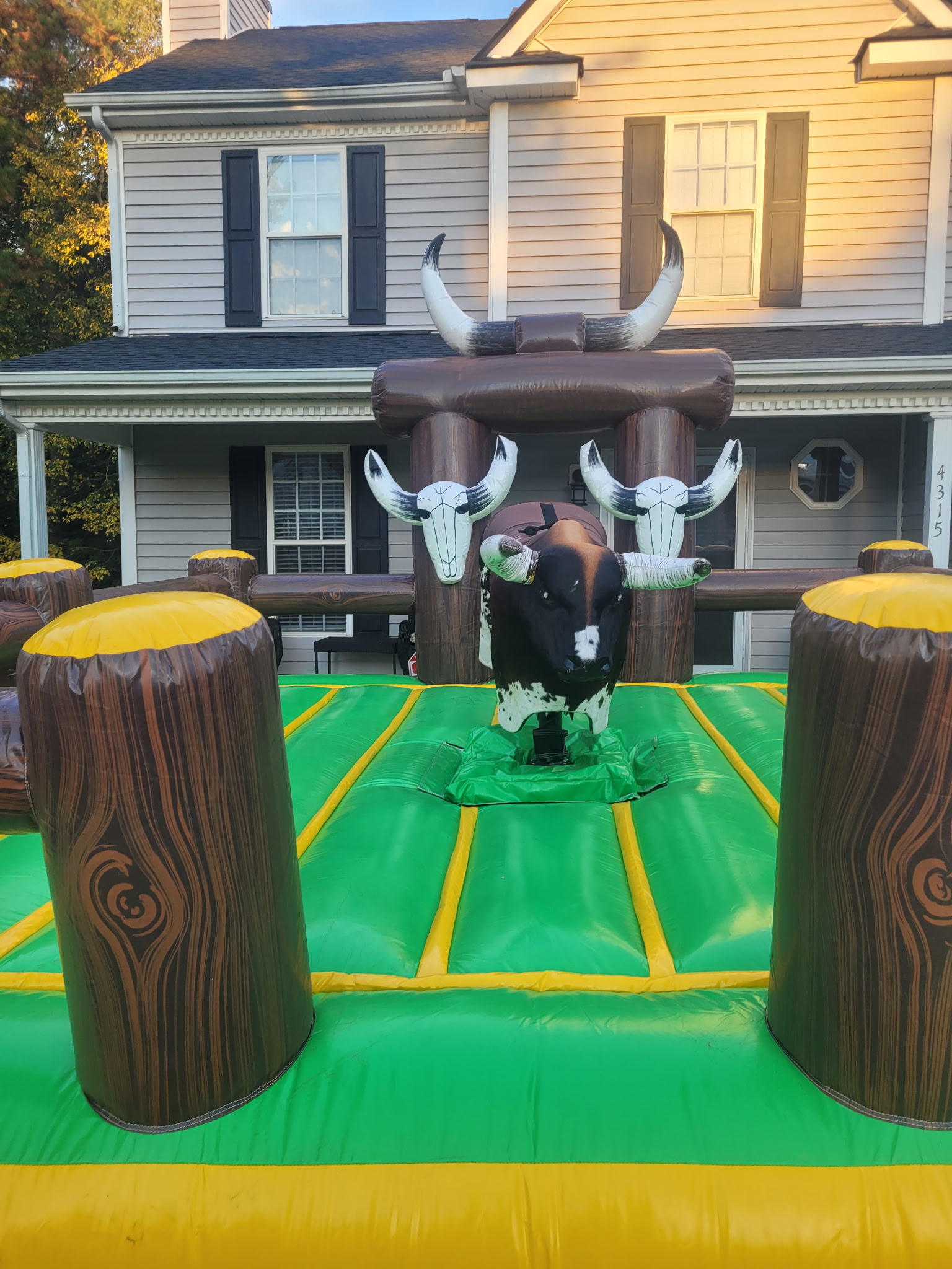 Mechanical bull ride
